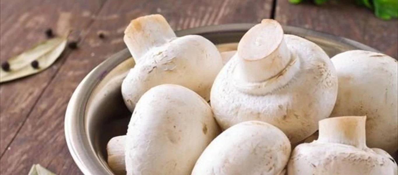 Έρευνα: Tα μανιτάρια μειώνουν τον κίνδυνο εμφάνισης καρκίνου